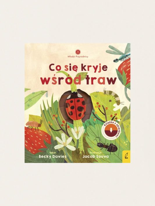 Młodzi przyrodnicy. Co się kryje wśród traw
