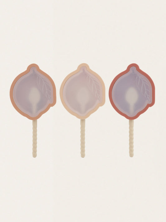 Homemade ice cream molds 3 pcs.