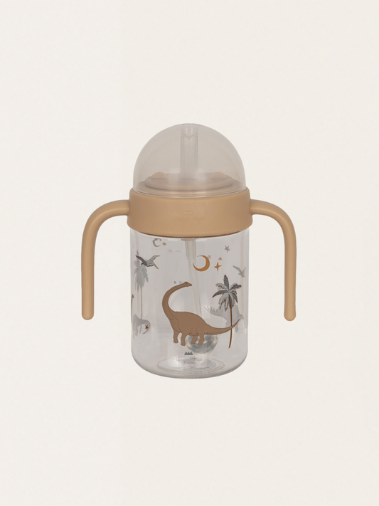 Tritan bottle with handles