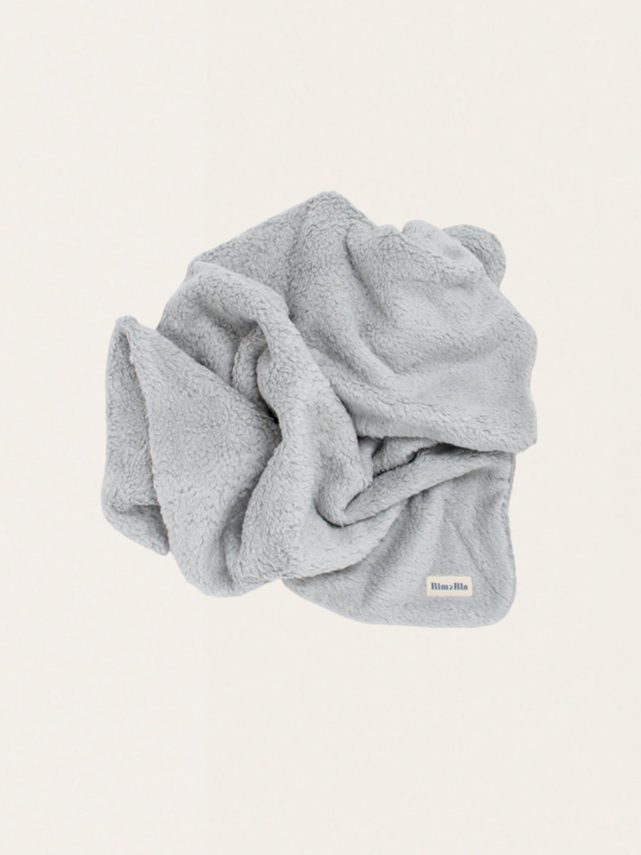 Warm Teddy Blanket