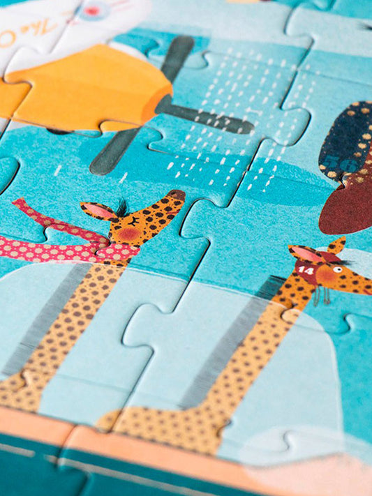 Planes Puzzles