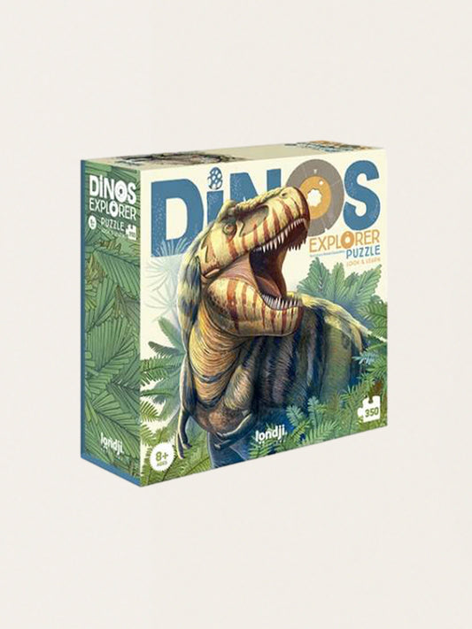 Dinos Observation Puzzle