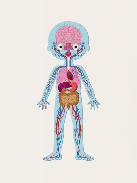 Educational puzzle: Giant human body