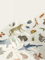 Tattoos für Kinder: Tiere der Welt