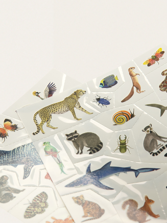 Tattoos für Kinder: Tiere der Welt