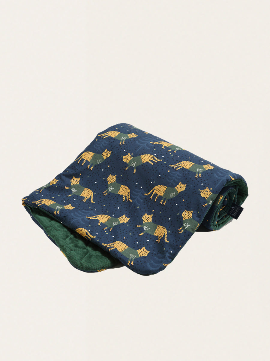 Double-sided cotton Velvet blanket