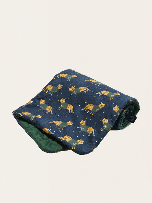 Double-sided cotton Velvet blanket