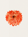 Dhalia Hair Clip