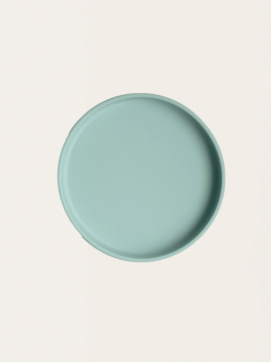 Silicone plate with suction cup
