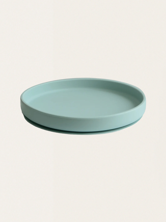 Silicone plate with suction cup