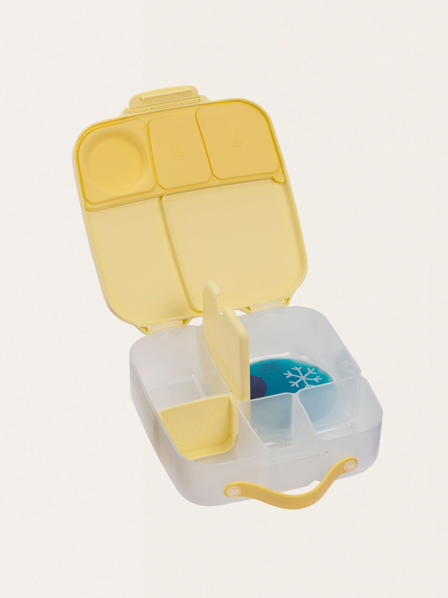 Große Lunchbox mit Fächern und Kühleinsatz