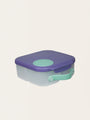 Mini Lunchbox with Compartments