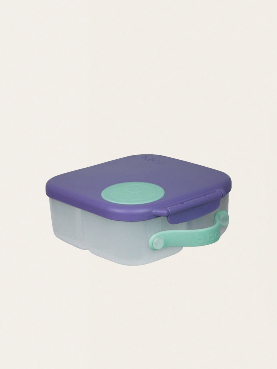 Mini Lunchbox with Compartments