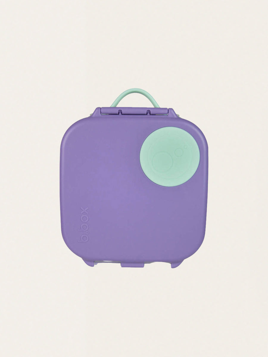 Mini Lunchbox with Compartments