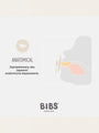 Bibs Anatomischer Schnuller