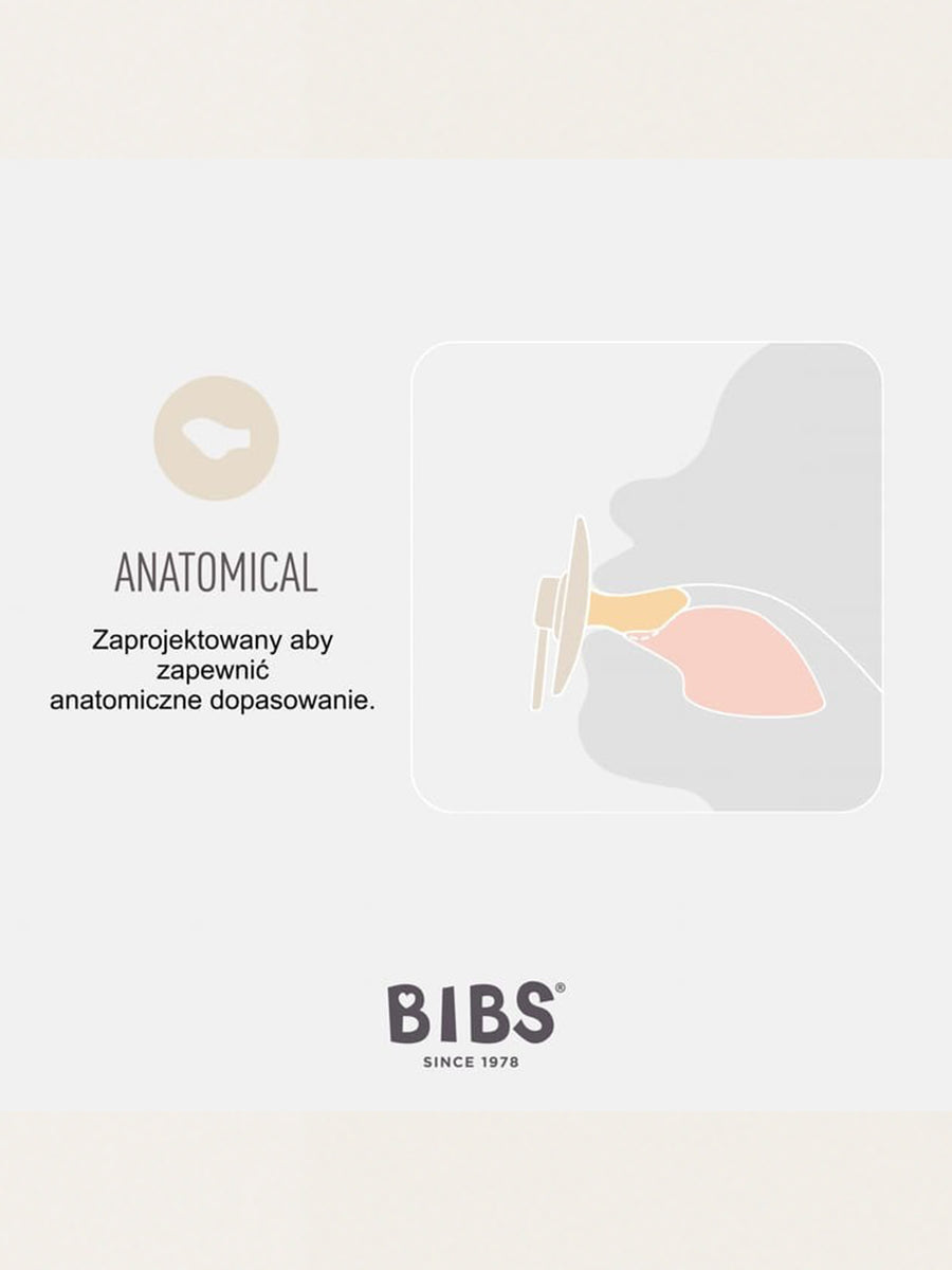 Bibs Anatomischer Schnuller