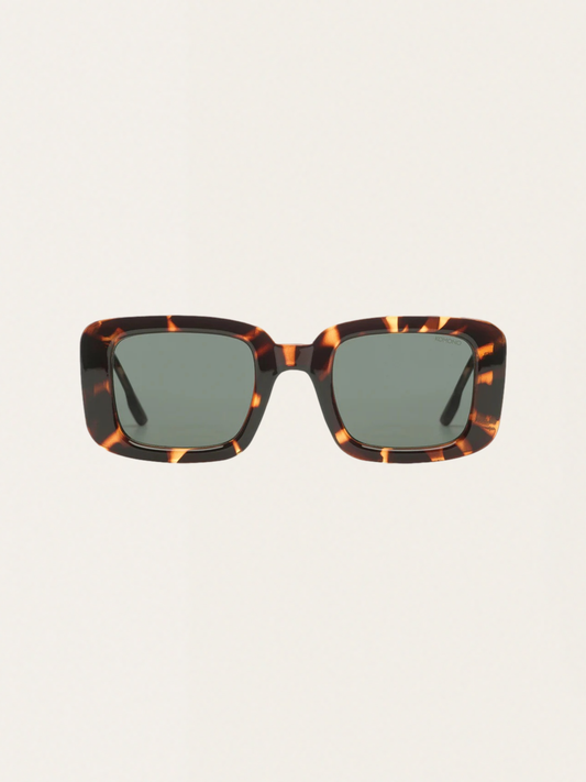 Avery sunglasses