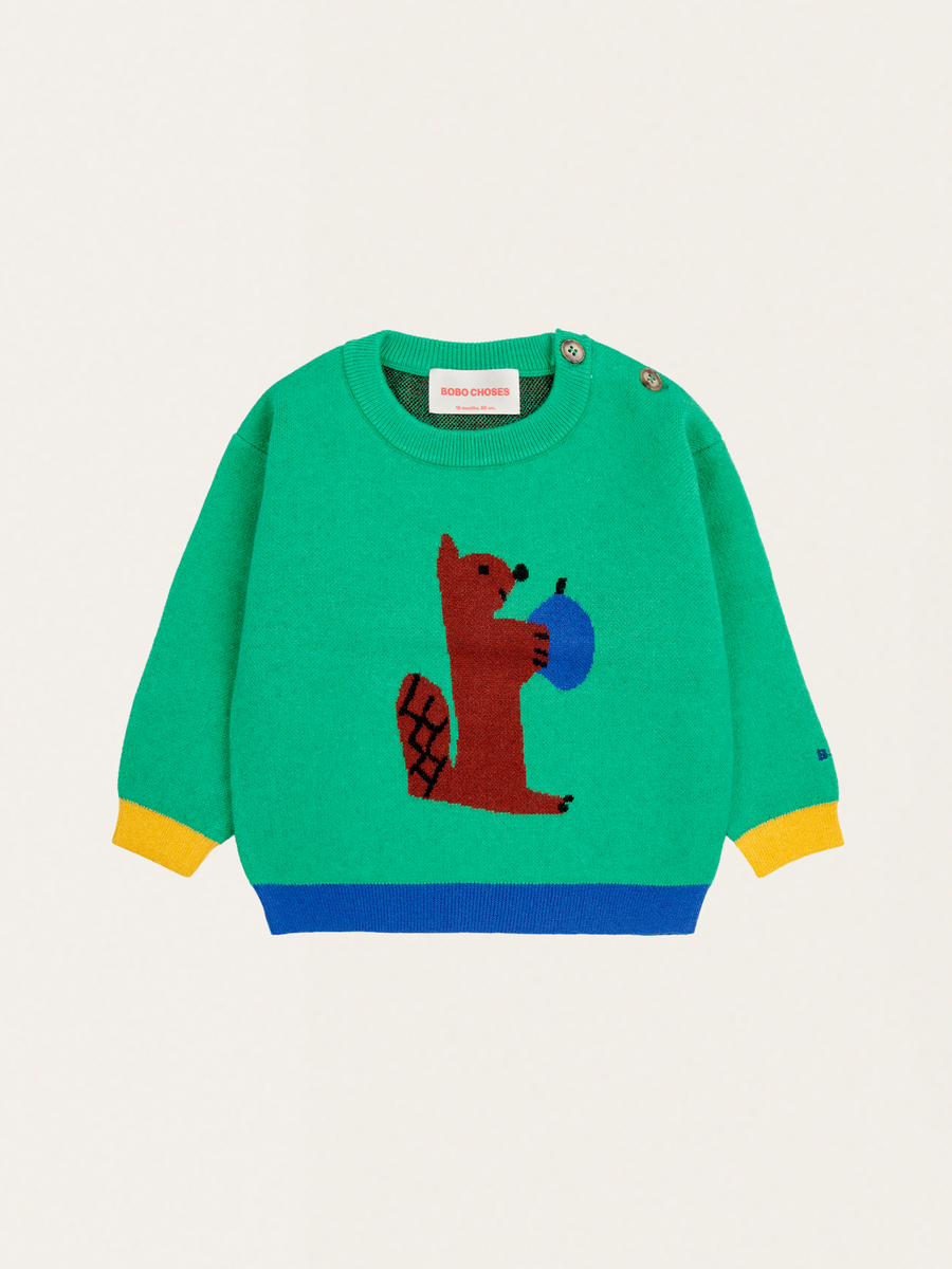 Baby Hungry Squirrel Sweater
