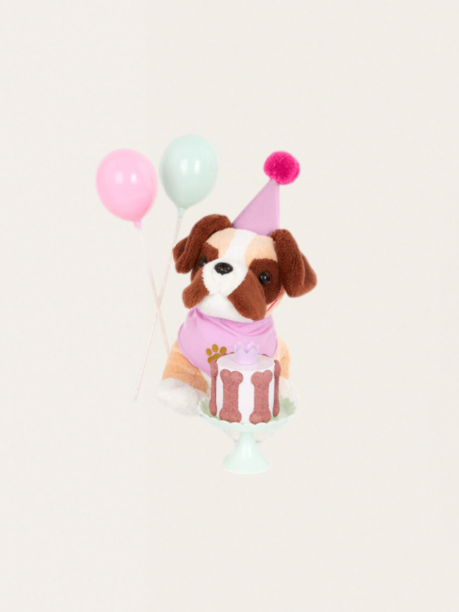 Pet Birthday Party - Accessories Set