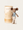 Ballerina Mouse in a Tube - Romeo and Juliet - Romeo