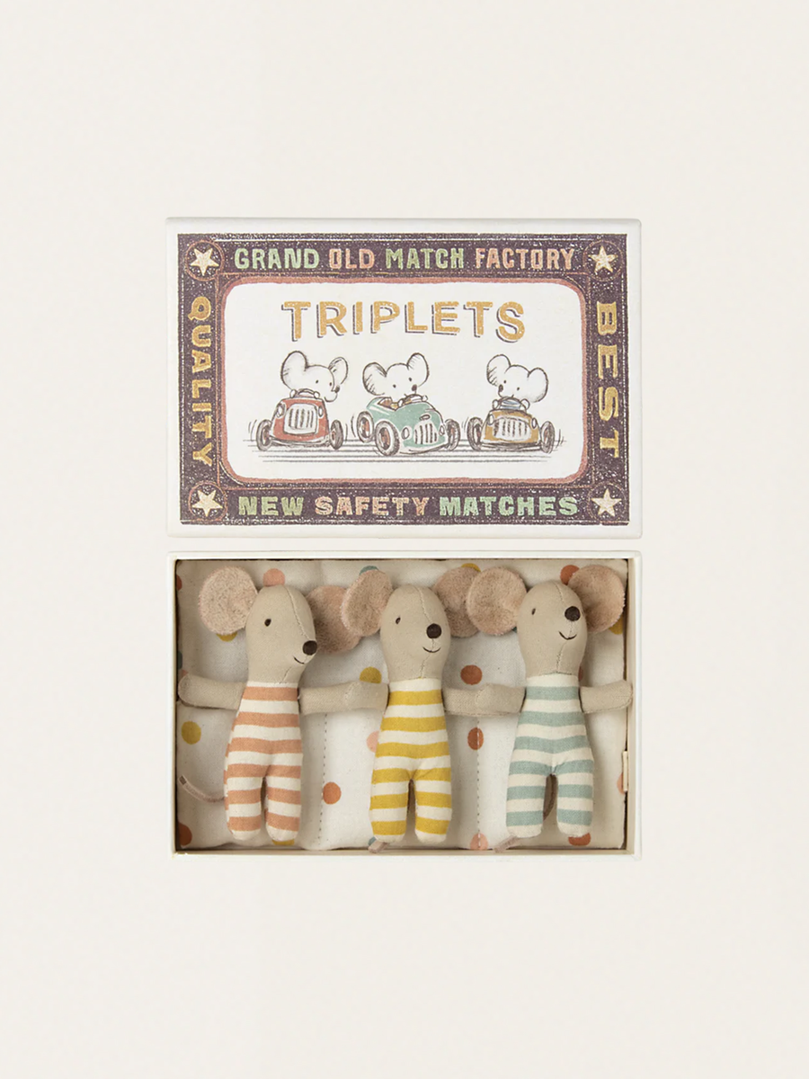 Baby Mouse Triplets in a Matchbox
