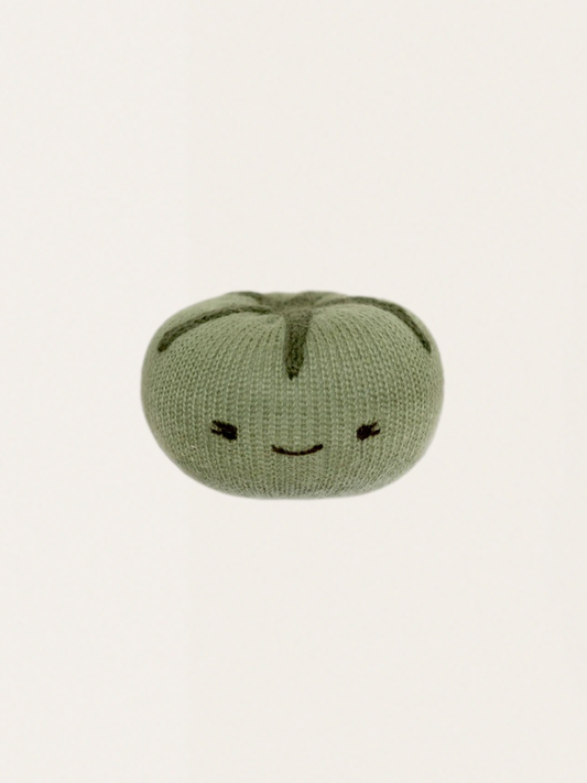 Tomatengrüne Alpakawollrassel