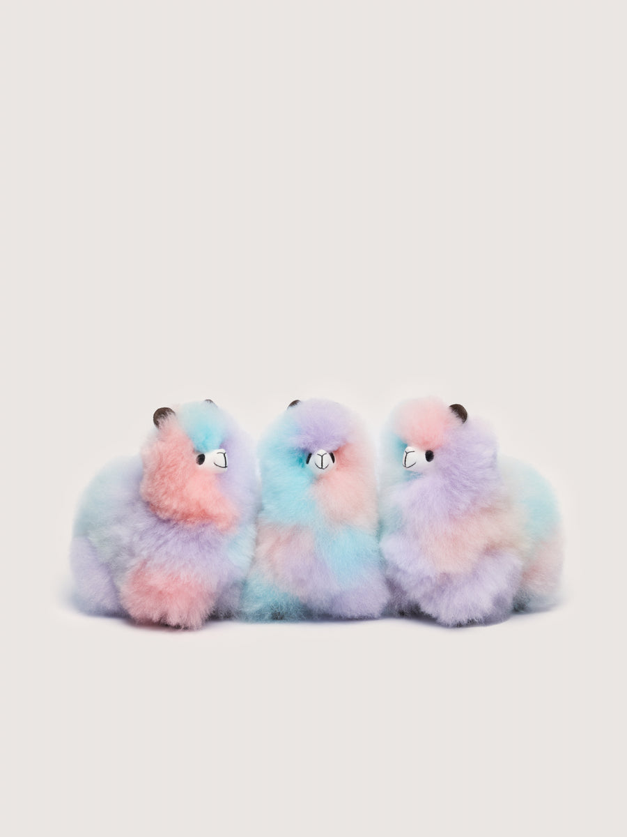 Flauschiges Alpaka