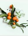 Neroli