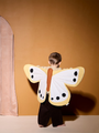 Large butterfly wings