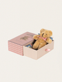 Teddybär in einer Box Elise Tiny Teddy