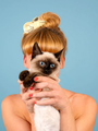 Siamese Cat Hair Clip