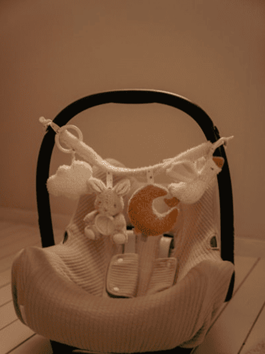 Sensorischer Anhänger für den Newborn Naturals Kinderwagen und Autositz