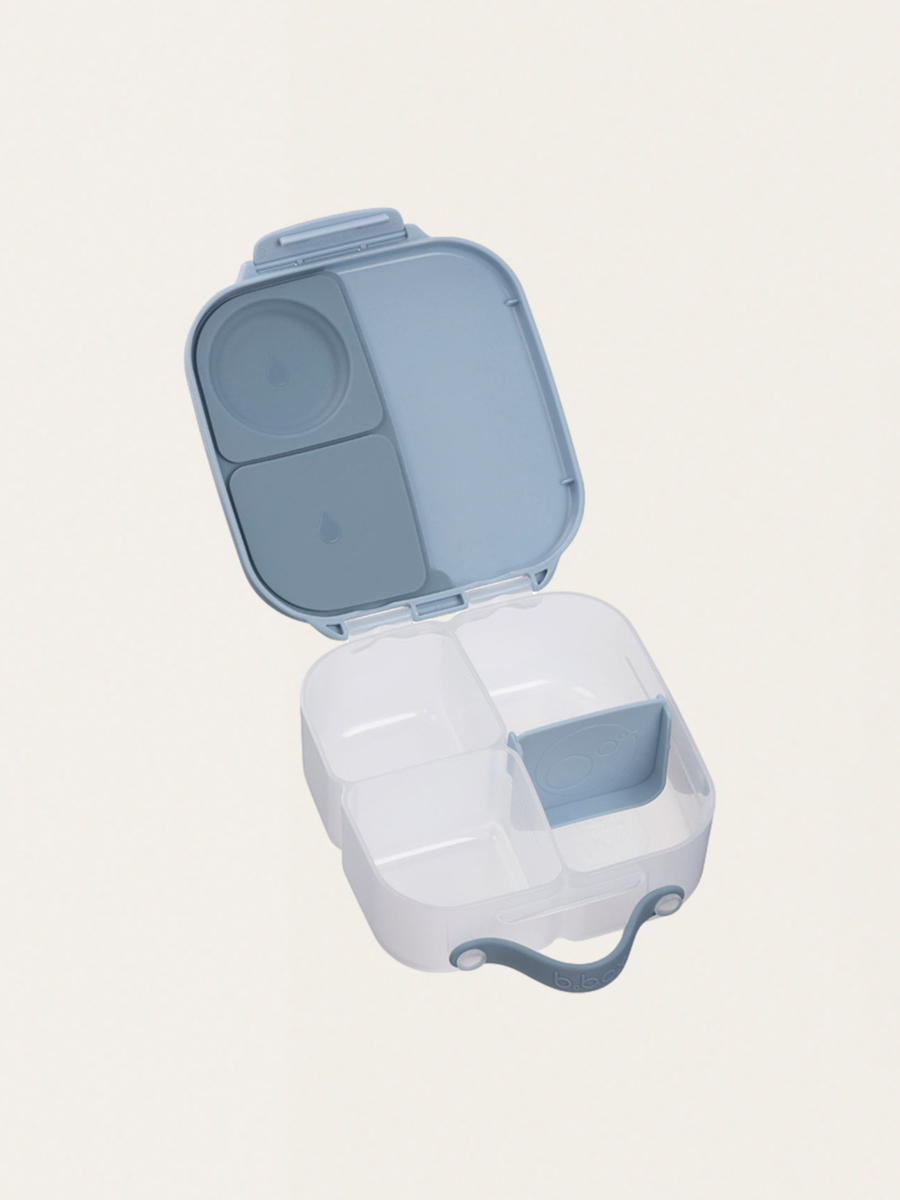 Mini Lunchbox with Compartments