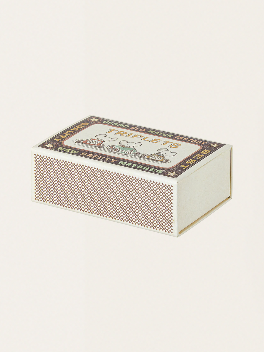 Baby Mouse Triplets in a Matchbox