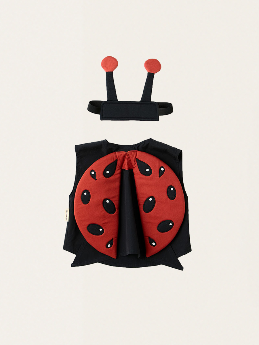 Organic cotton ladybug costume