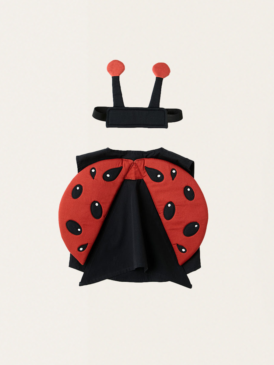 Organic cotton ladybug costume