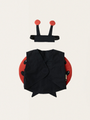 Organic cotton ladybug costume