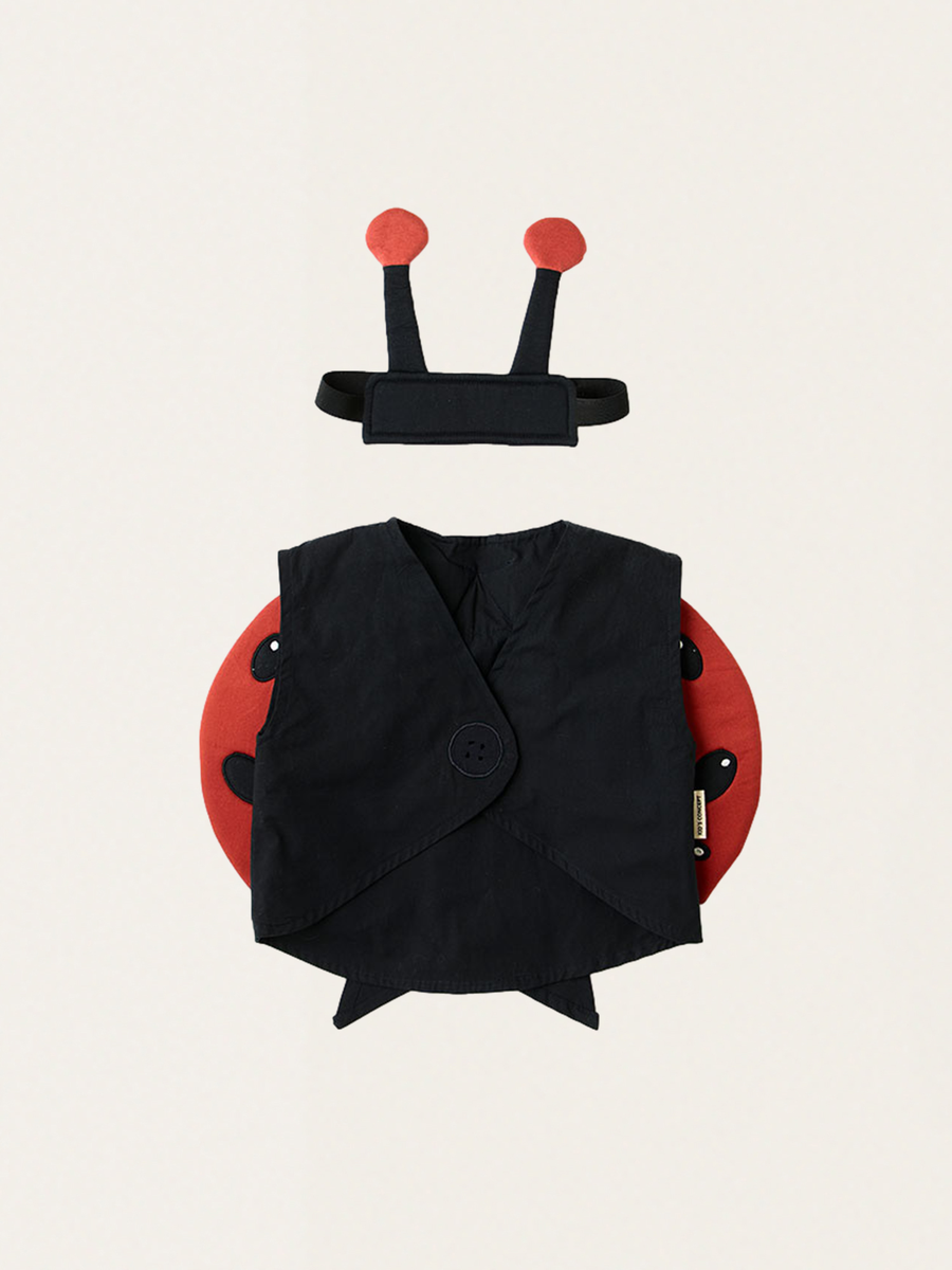 Organic cotton ladybug costume