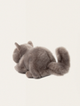 Przytulanka kotek w pudełku Freddy the British Shorthair