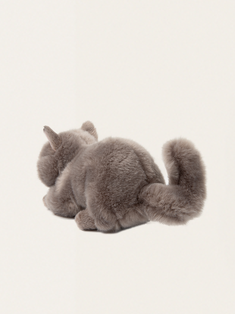 Przytulanka kotek w pudełku Freddy the British Shorthair