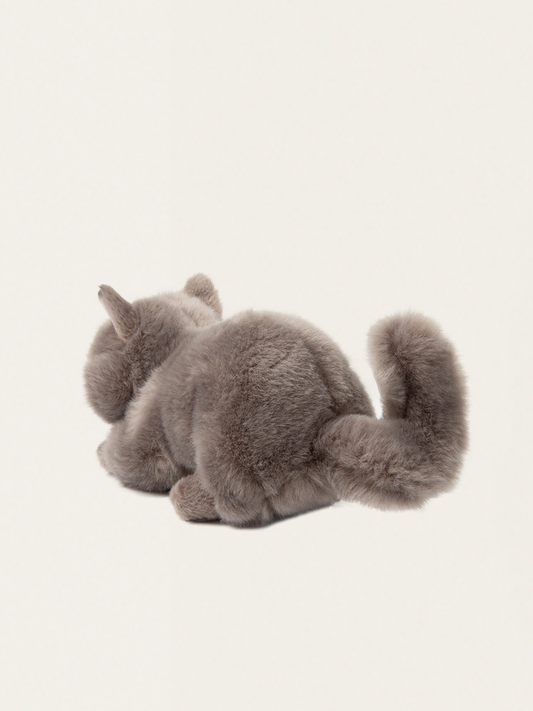 Przytulanka kotek w pudełku Freddy the British Shorthair
