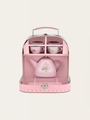 Fairy Garden Tea Set in a Case