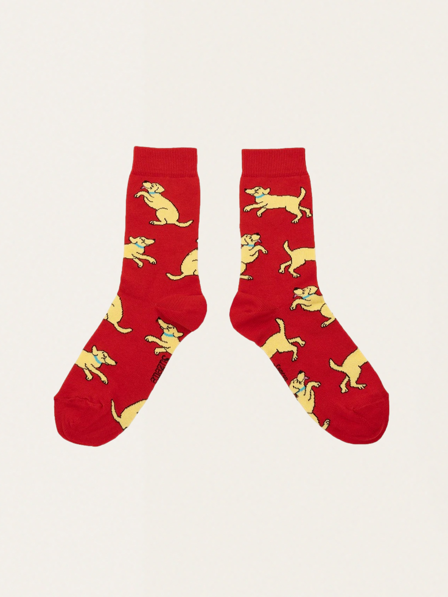 Golden Retriever Dog Socks
