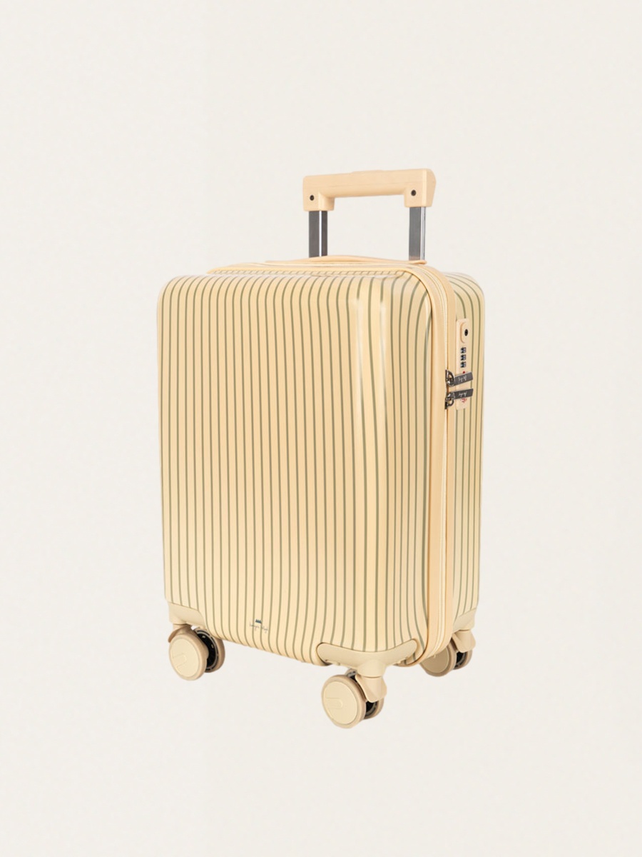 Suitcase on wheels