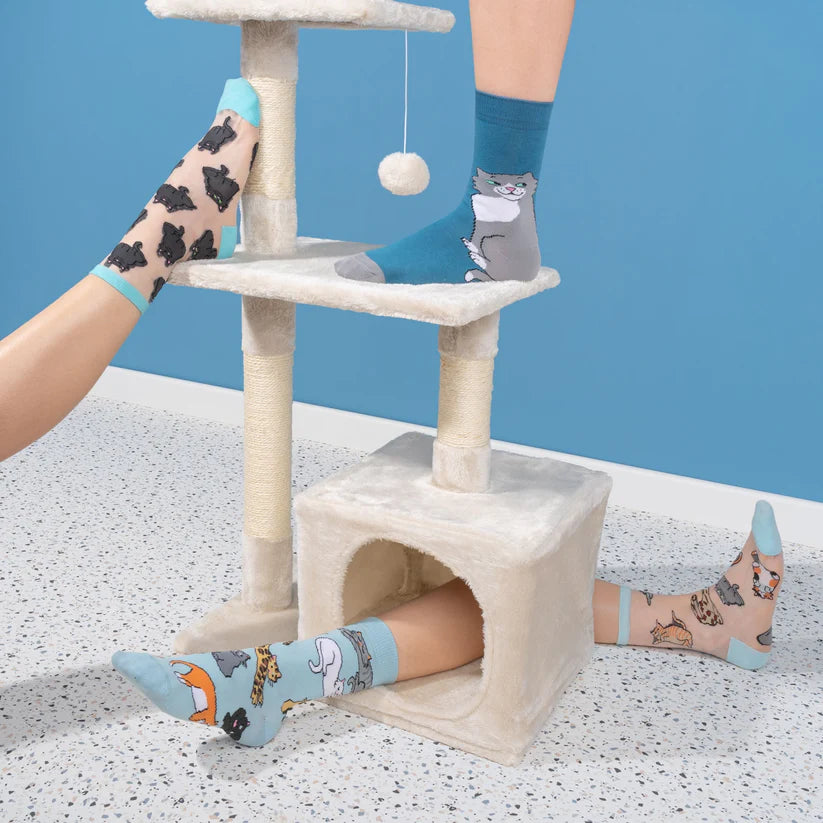Meow socks