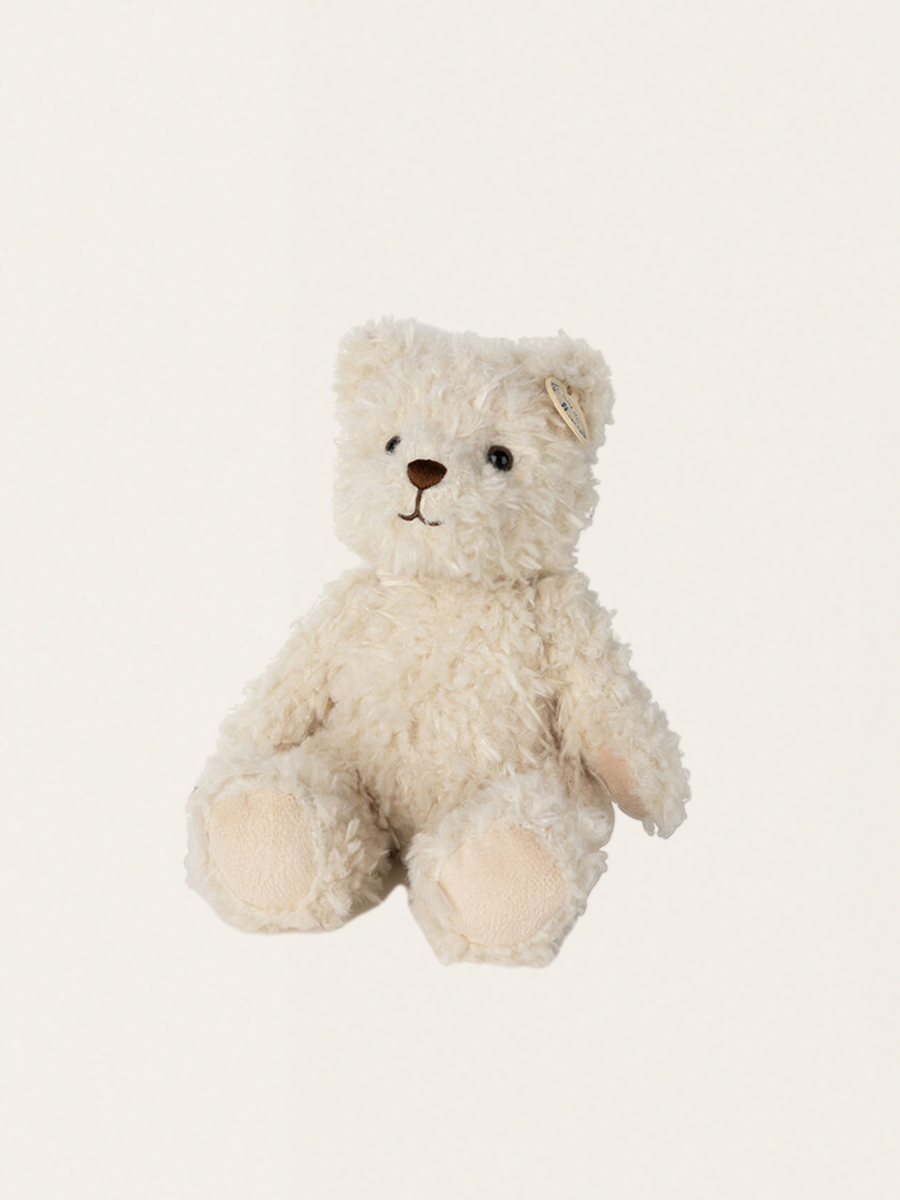 Frederic, der reisende Bär, Teddybär im Koffer