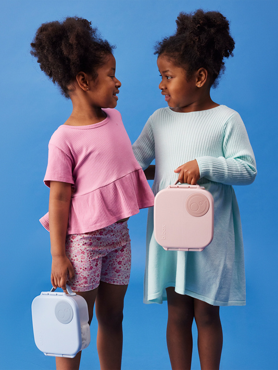 Mini Lunchbox with Compartments