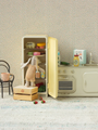 Fridge for a house for mice and bunnies