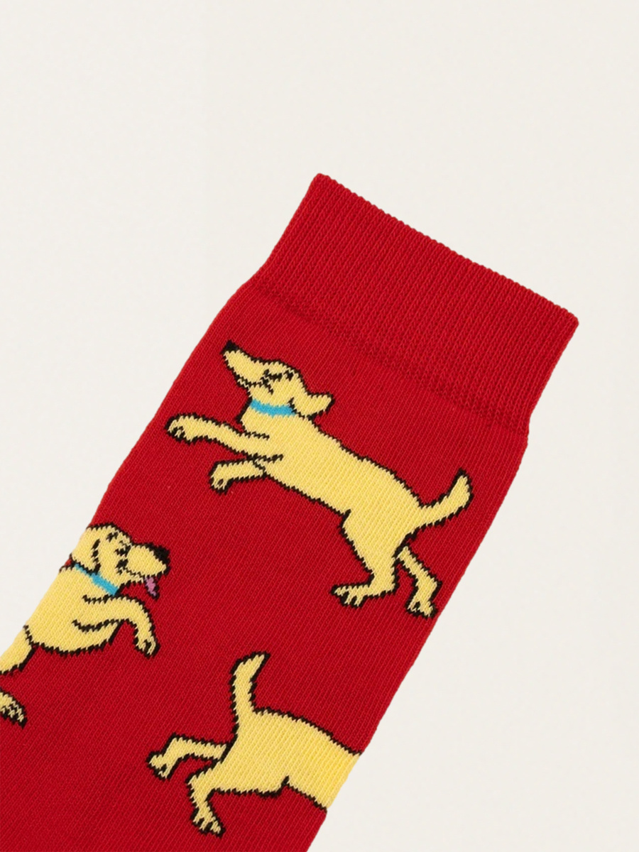 Golden Retriever Dog Socks