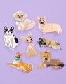 Chihuahua hair clip